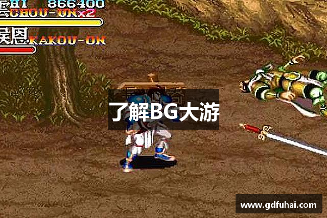 了解BG大游